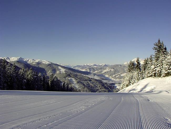Lepa misel za lepši dan. (foto: freeimages.com)