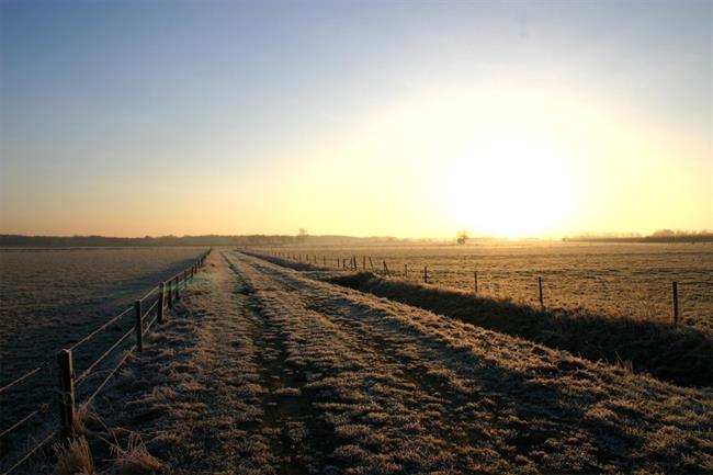Lepa misel za lepši dan. (foto: freeimages.com)