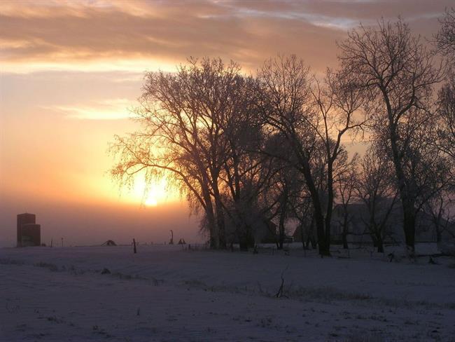 Lepa misel za lepši dan. (foto: freeimages.com)