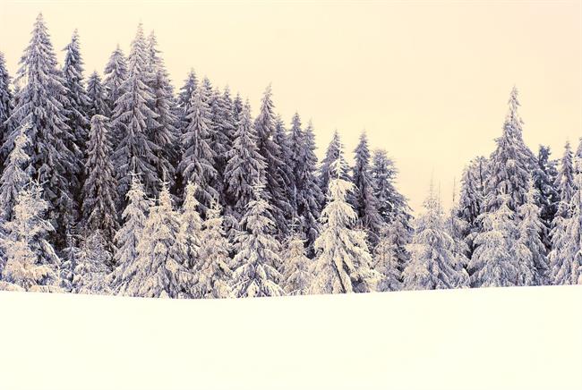 Lepa misel za lepši dan. (foto: freeimages.com)