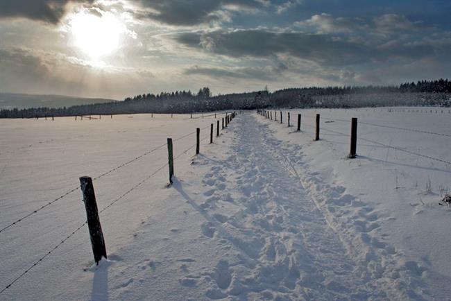 Lepa misel za lepši dan. (foto: freeimages.com)