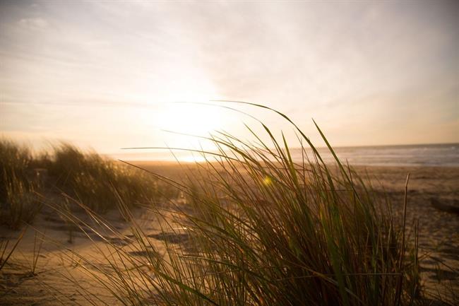 Danes bo pretežno jasno, predvsem na severu bo vetrovno. (foto: pexels.com)