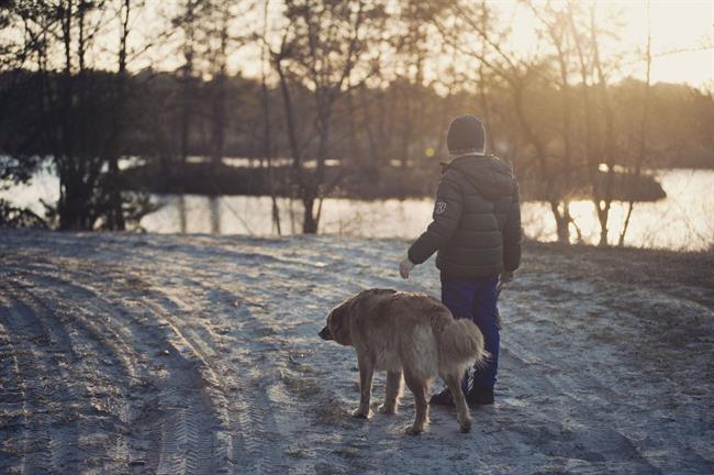 Danes se bo na zahodu delno zjasnilo, drugod bo pretežno oblačno. (foto: pexelscom)