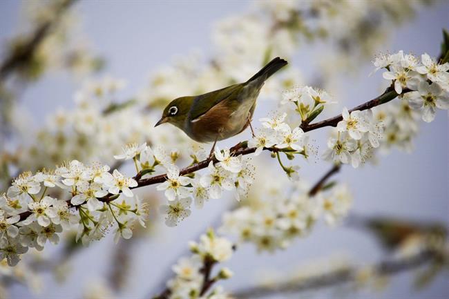 Lepa misel za lepši dan. (foto: pexels.com)