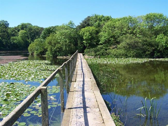 Danes bo pretežno jasno in suho. (foto: freeimages.com)