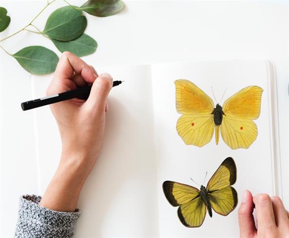 Kdor hoče videti, mora gledati s srcem. (foto: pexels.com)
