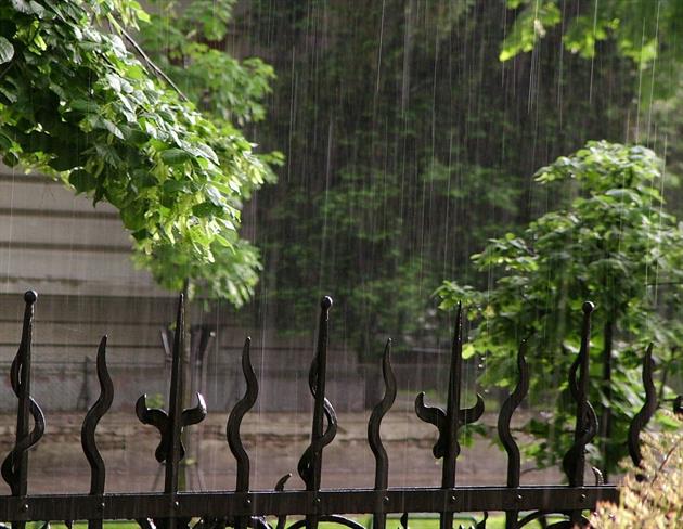 Danes bo oblačno s pogostimi padavinami, ki bodo popoldne ponehale. (foto: freeimages.com)