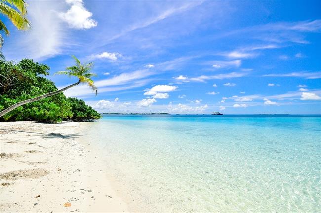Lepa misel za lepši dan. (foto: pexels.com)