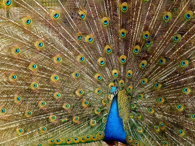 Lepa misel za lepši dan. (foto: pexels.com)
