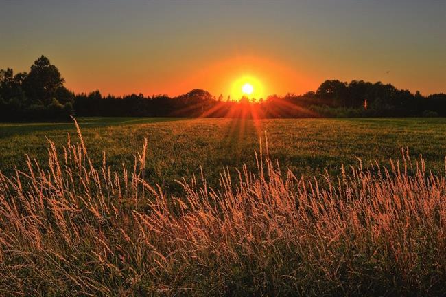 Danes bo pretežno jasno, zjutraj bo po nižinah nekaj megle. (foto: pexels.com)