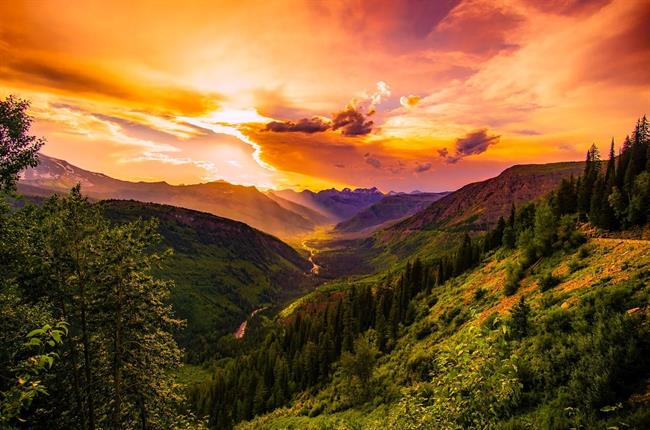 Kaj lepega nam prinaša teden, ki je pred nami? (foto: pexels.com)