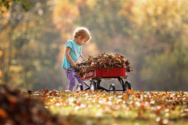 Lepa misel za lepši dan. (foto: pexels.com)