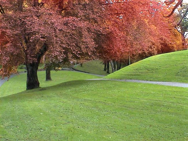 Lepa misel za lepši dan. (foto: pexels.com)