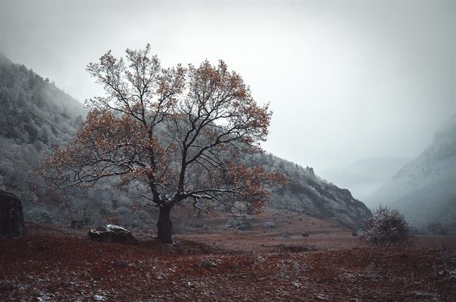 Danes bo občasno deževalo na zahodu, jutri pa na vzhodu Slovenije. (foto: pexels.com)