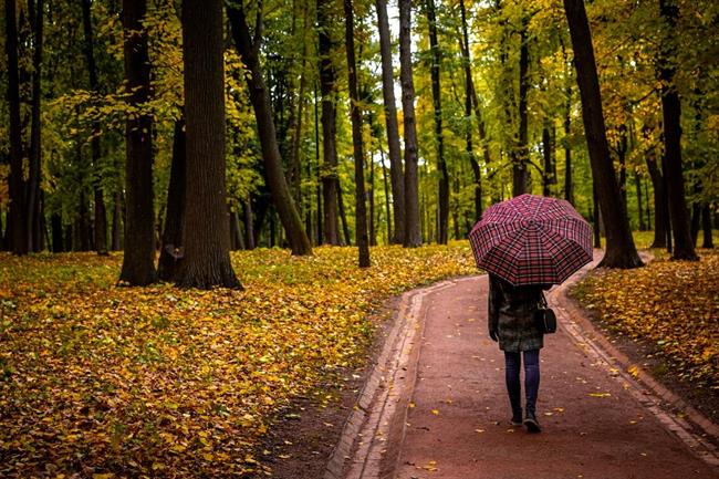 Danes bo oblačno z rahlim dežjem, pihala bo šibka burja. (foto: pexels.com)