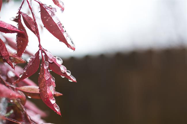 Danes dopoldne bo suho, popoldne bodo v zahodni in osrednji Sloveniji ponovno padavine. (foto: pexels.com)