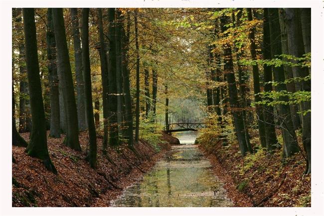 Lepa misel za lepši dan. (foto: freeimages.com)