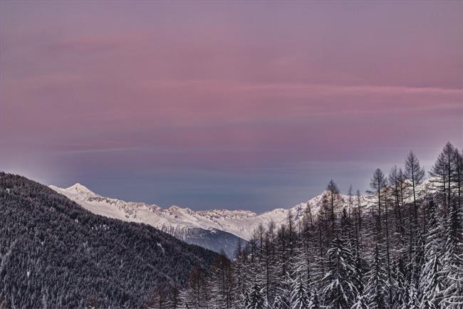 Kaj lepega prinaša teden? (foto: pexels.com)