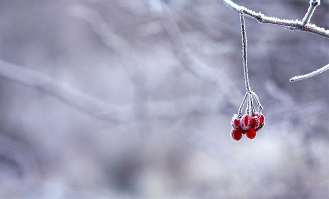 Danes se bo pooblačilo, popoldne bo zlasti na jugu občasno rahlo snežilo. (foto: pexels.com)