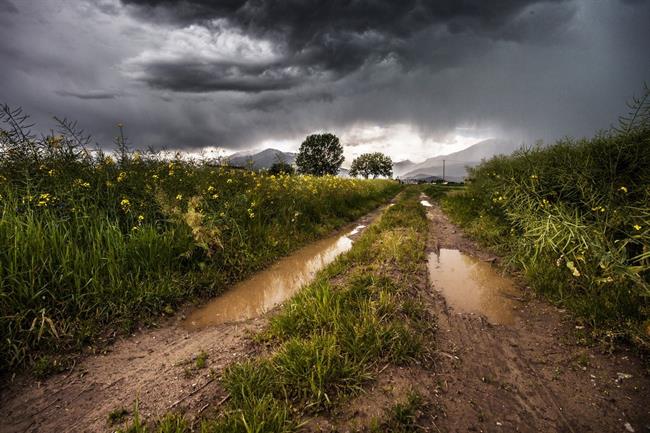 Danes in jutri bo na vzhodu delno jasno, drugod pretežno oblačno. (foto: pexels.com)