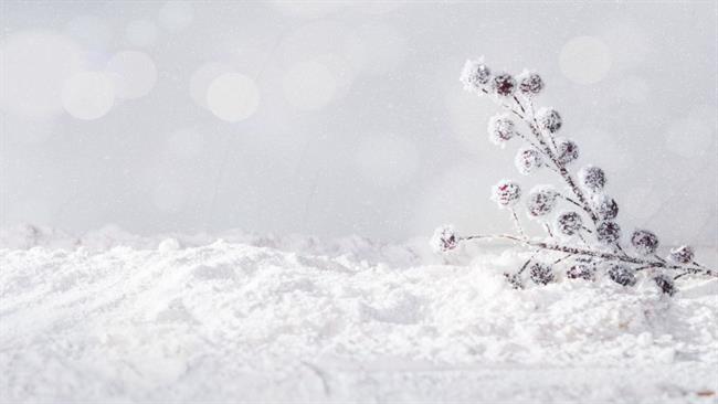 Lepa misel za lepši dan. (foto: freepik.com)