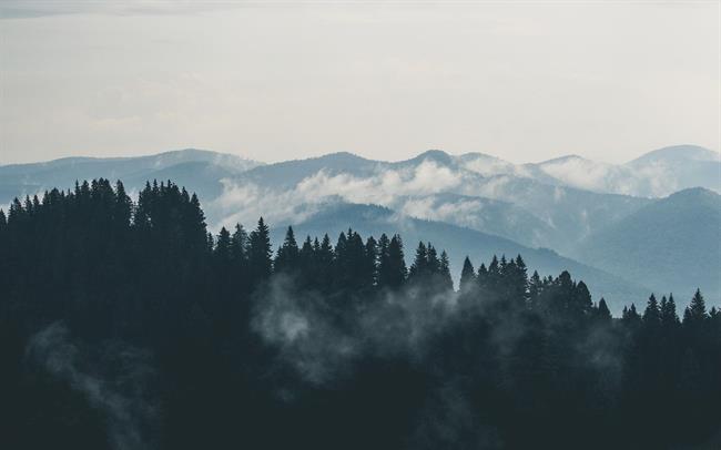 Danes bo sprva na vzhodu zmerno do pretežno oblačno, drugod se bo delno zjasnilo, po nižinah bo megla.  (foto: pexels.com)