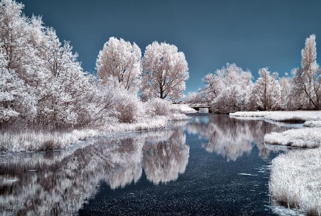 Lepa misel za lepši dan. (foto: pexels.com)