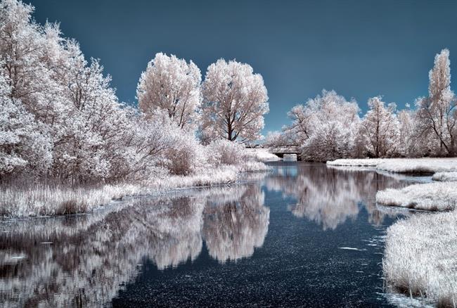 Kaj lepega prinaša teden? (foto: pexels.com)