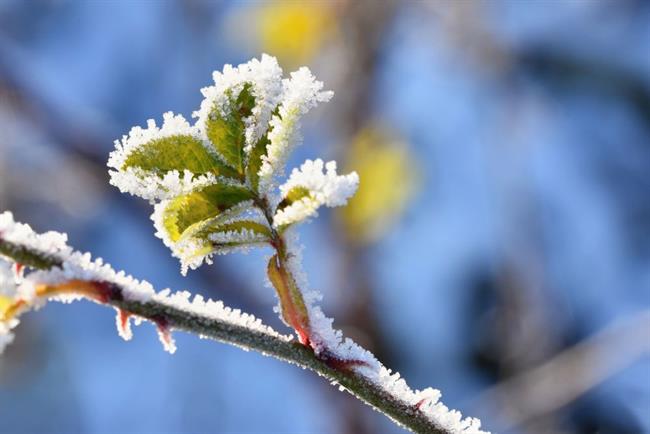 Kaj lepega prinaša teden? (foto: freepik.com)