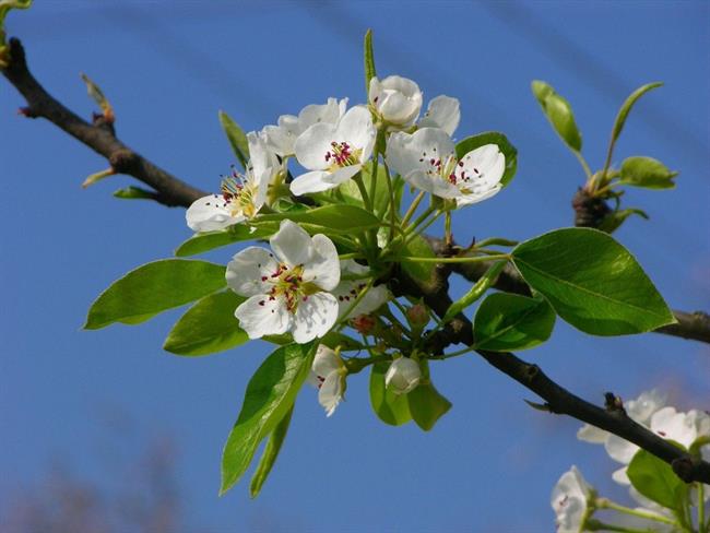 Lepa misel za lepši dan. (foto: freeimages.com)