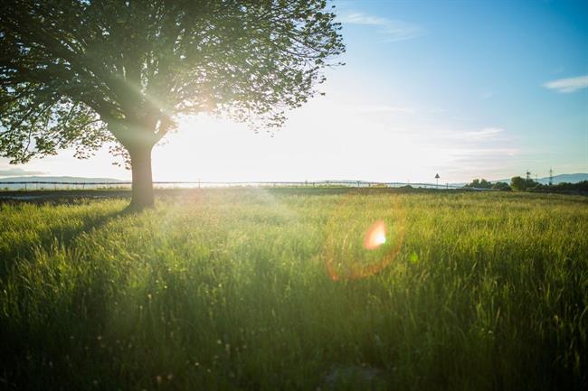 Danes in jutri bo pretežno jasno, veter bo danes oslabel. (foto: pexels.com)