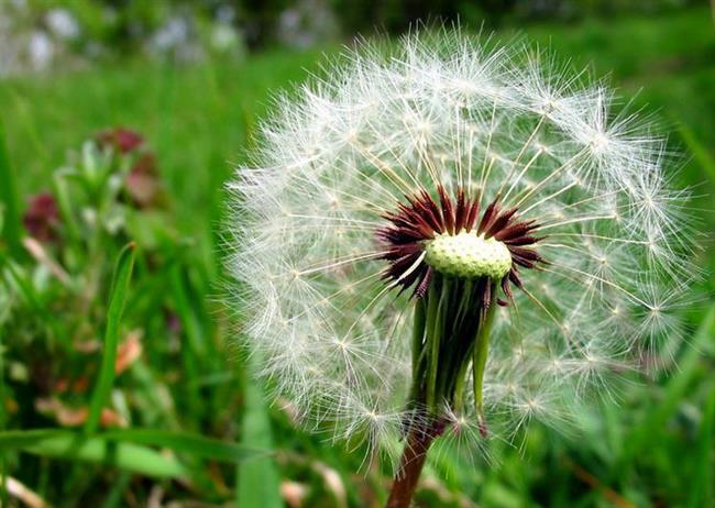Lepa misel za lepši dan. (foto: freeimages.com)