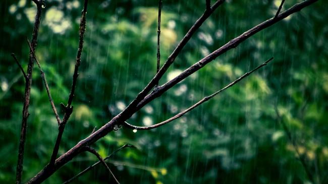 Danes bodo predvsem na zahodu in jugu še krajevne plohe in nevihte. (foto: pexels.com)