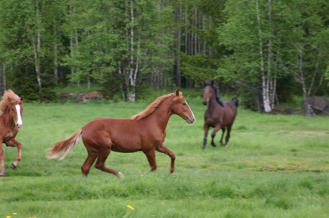 Lepa misel za lepši dan. (foto: freeimages.com)