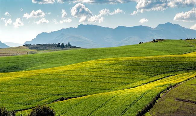 Danes in jutri bo sončno, pihal bo veter severnih smeri. (foto: pexels.com)