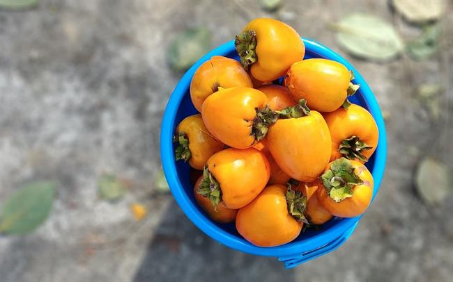 Kaki je izredno okusen sadež. (foto: pixabay.com)