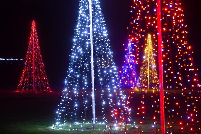 Praznične lučke se v Arboretumu prižgejo vsak dan ob 17. uri vse do 9. januarja 2022. (Foto: Arboretum)
