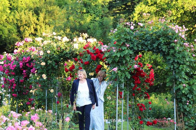 Mesec vrtnic v Arboretumu Volčji Potok. (Foto: Arboretum Volčji Potok)