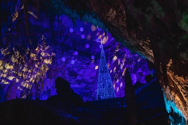 Veličasten prižig lučk v podzemlju Postojnske jame. Foto: Žiga Intihar
