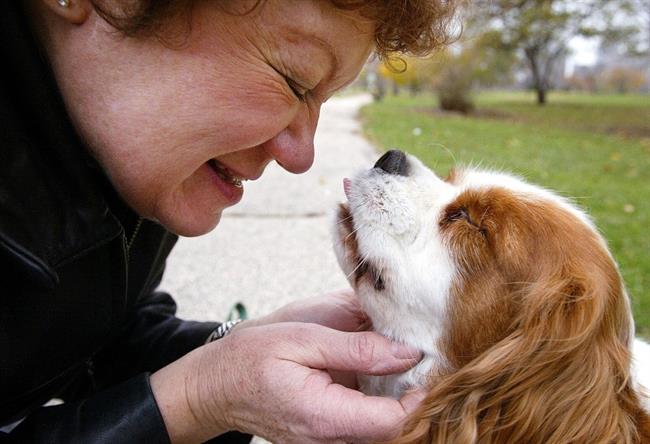 Pravo prijateljstvo med človekom in živaljo. (foto: Arhiv Happy Doggy)