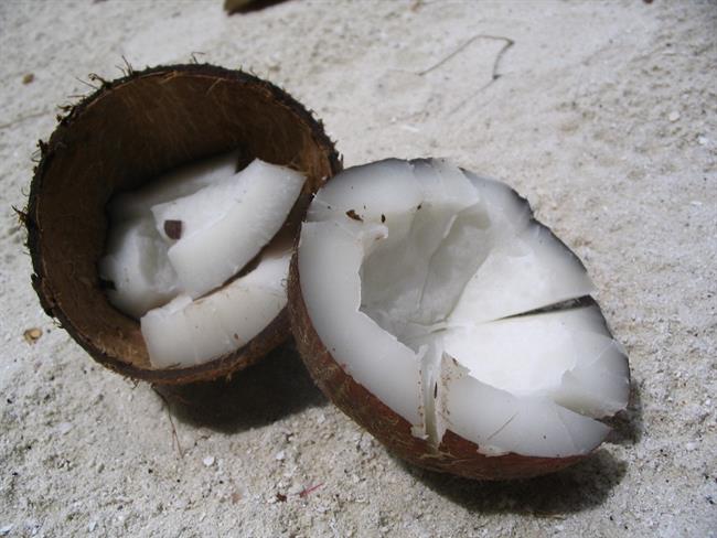 Kokosovo olje je izredno zdravilno. (foto: www.sxc.hu)
