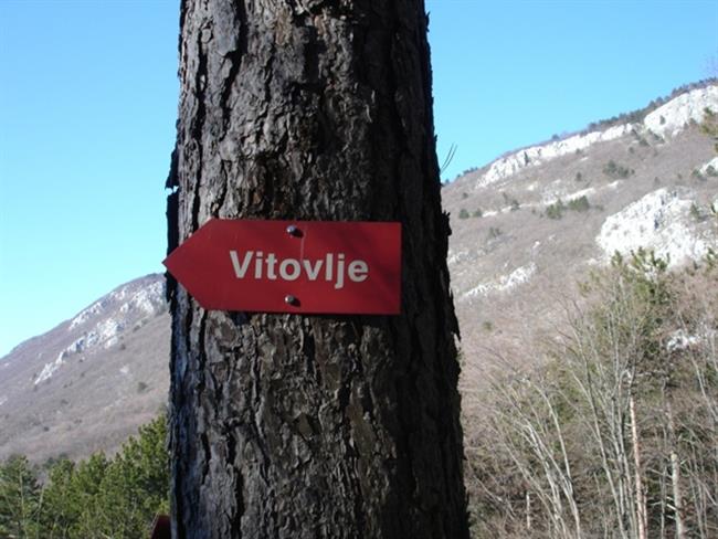 Smerokaz Vitovlje (foto: Autentica)