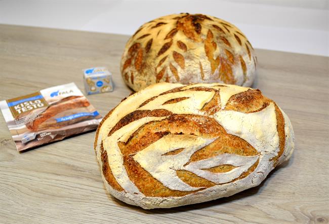 Beli kruh s semeni maka (foto: Fala)