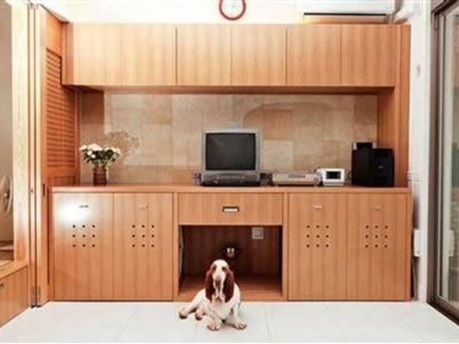 V omari, na kateri stoji televizija, je prostor za odžejanje vašega ljubljenčka. Všeč? (foto: www.oddee.com)