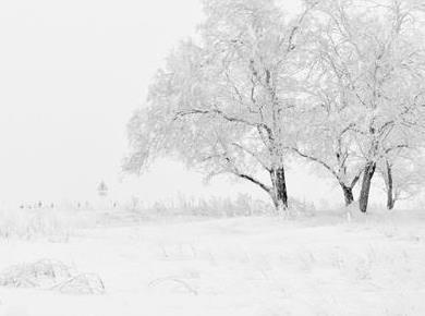 Vremenska napoved za 15. januar