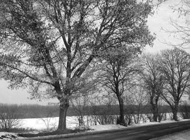 Vremenska napoved za 20. januar