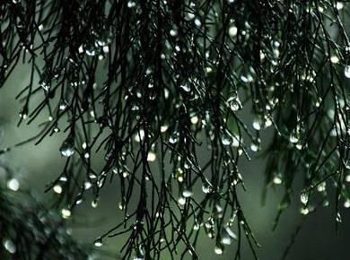 Vremenska napoved za 21. januar