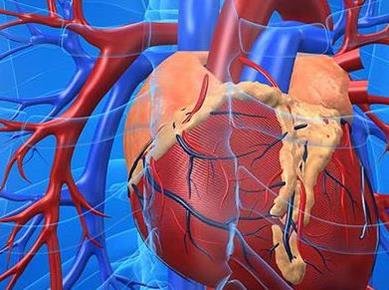 Skrbite za svoje srce in ožilje?