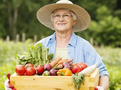 Praktično: Kaj lahko posadite na majhnem koščku zemlje?