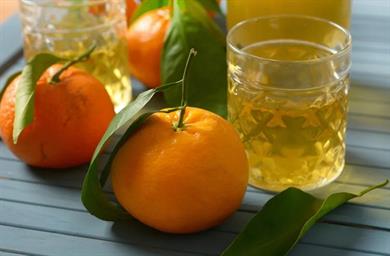 KUHALNICA: Mandarinin liker